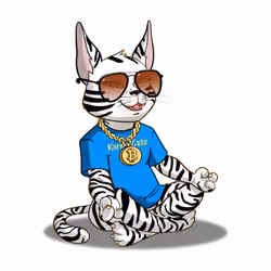 Karma Cat #4237
