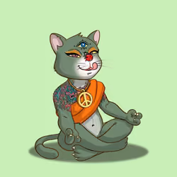 Karma Cat #4358