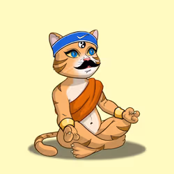Karma Cat #1104