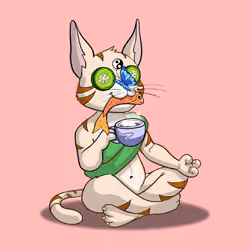 Karma Cat #3140
