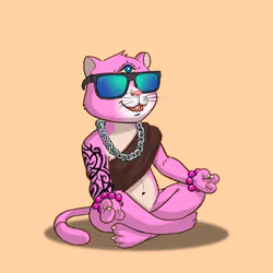 Karma Cat #3536