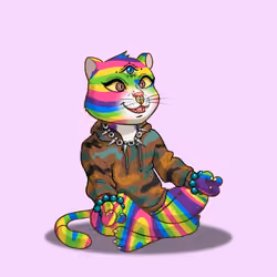 Karma Cat #2060