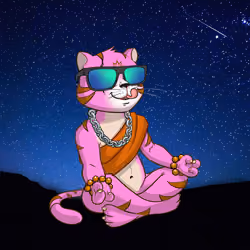 Karma Cat #1278