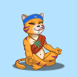 Karma Cat #1851