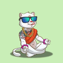 Karma Cat #1544