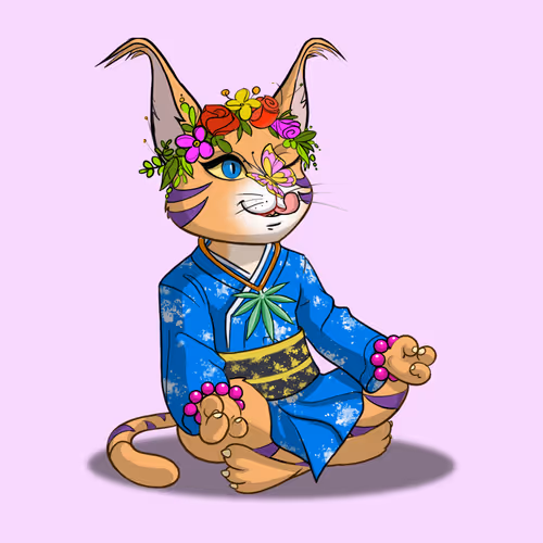 Karma Cats Nft