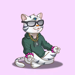 Karma Cat #4165