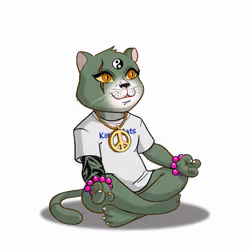 Karma Cat #3049