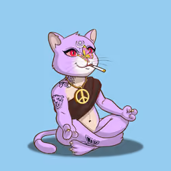 Karma Cat #5170