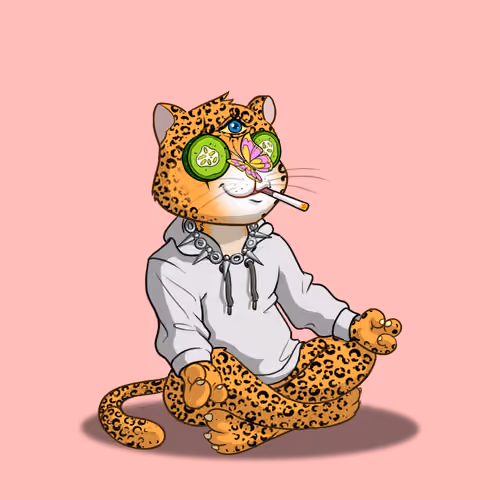 Karma Cat #3226