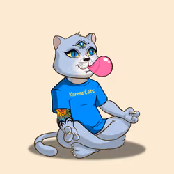 Karma Cat #1277