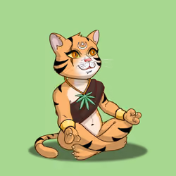 Karma Cat #2172