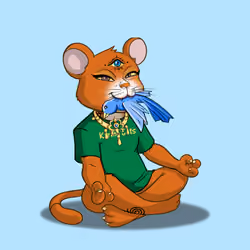 Karma Cat #3534