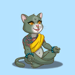 Karma Cat #2488