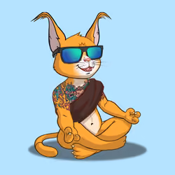 Karma Cat #5341