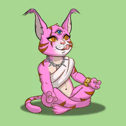 Karma Cat #5334