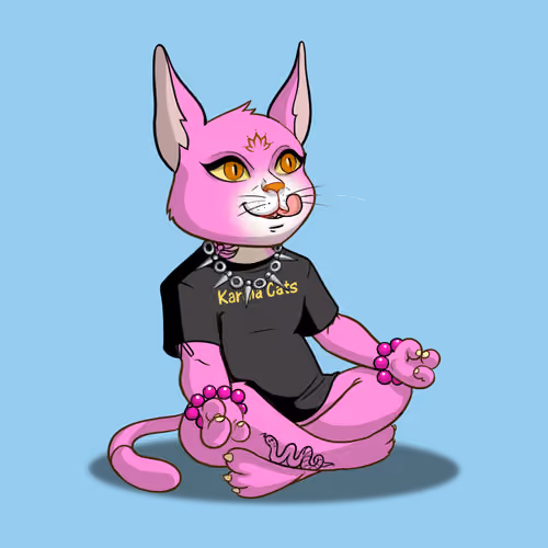Karma Cat #5169