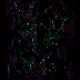 [XSLOPPY] [#1]