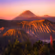 277