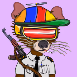 41