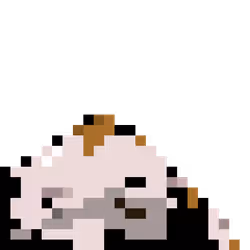 3455
