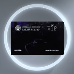 Dream Garage VIP #51