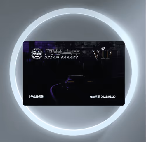 Dream Garage VIP #19