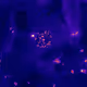 Centriole