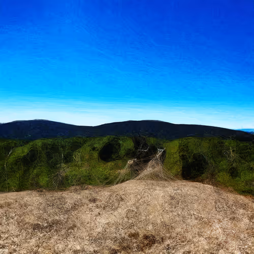 Landscapes — 11101100010110011101101011110010000110001111011000110