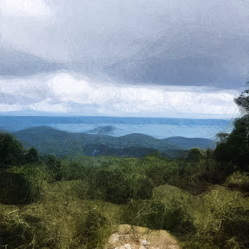 Synthetic Dreams