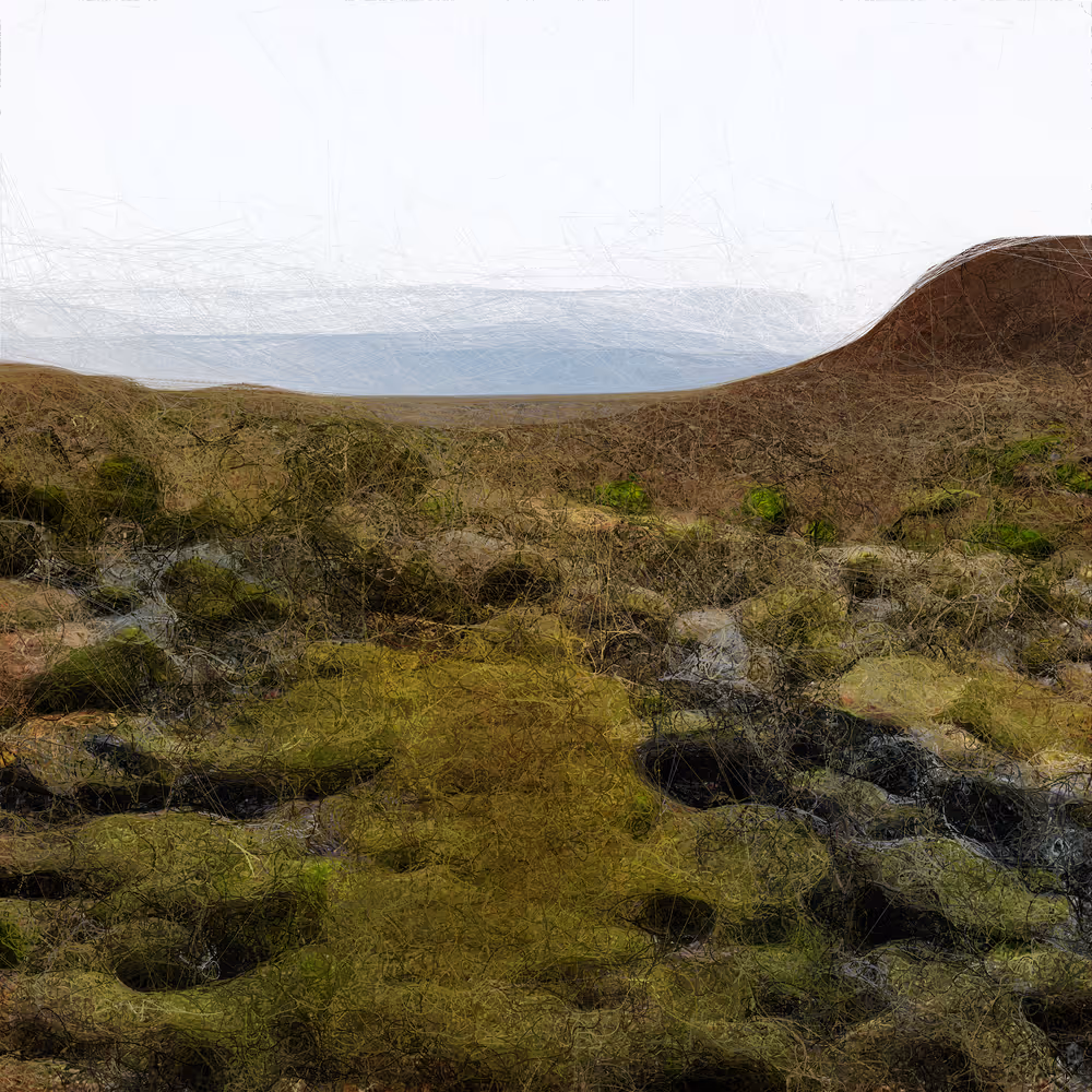Landscapes — 11100101111000111110011100011100001110100001000110111