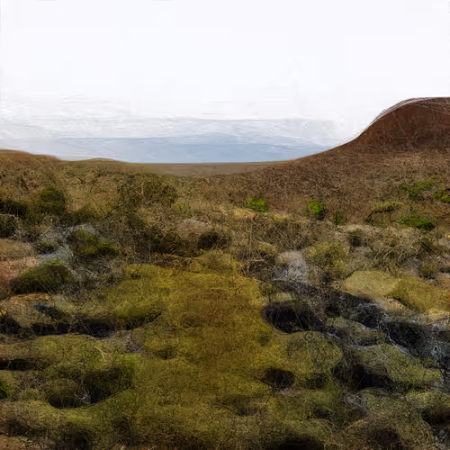 Landscapes — 11100101111000111110011100011100001110100001000110111