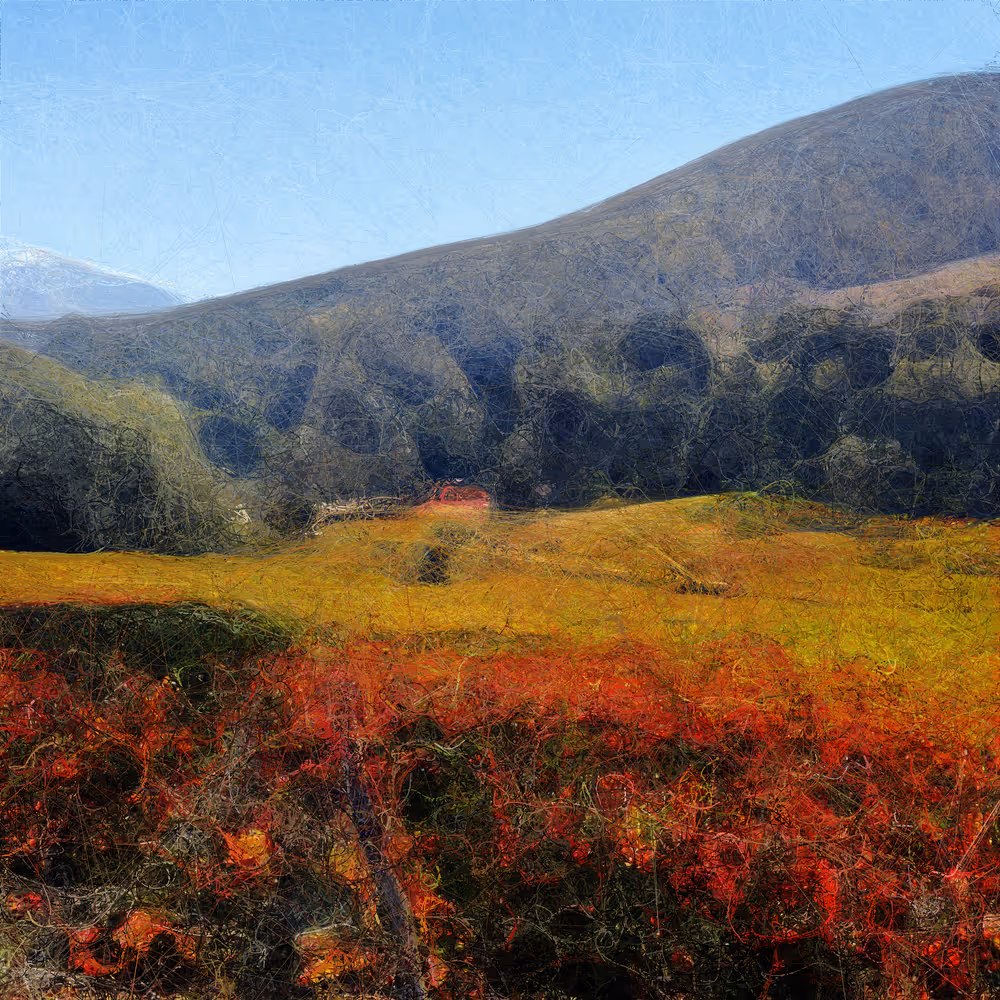 Landscapes — 10100010011000100101111000101100111011010110110101011