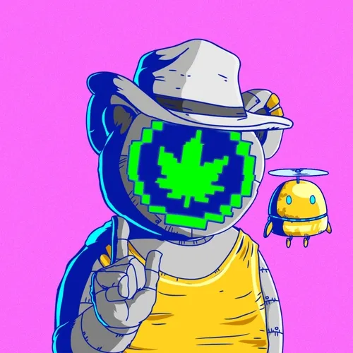 Shy Syndicate Official