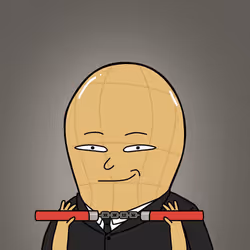 1206