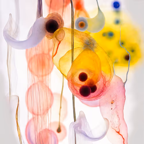 Tran Sience