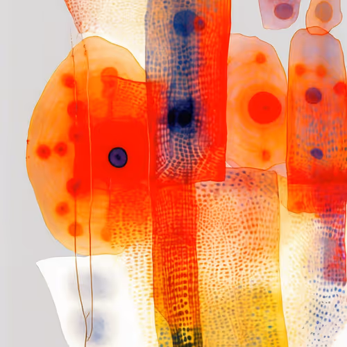 Tran Sience