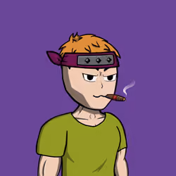 Crypto Ninja Master #559