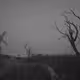 Lonely Farm