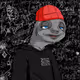 252