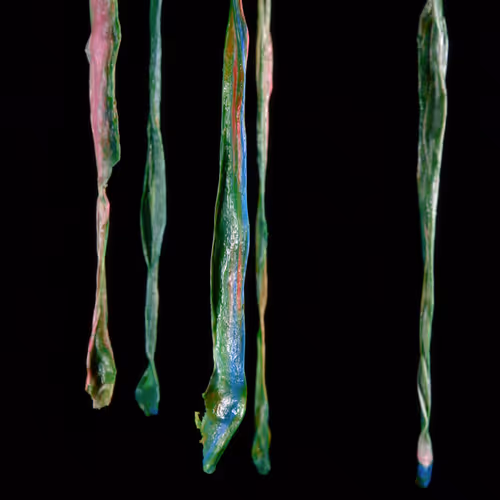 Metamorphosis #11