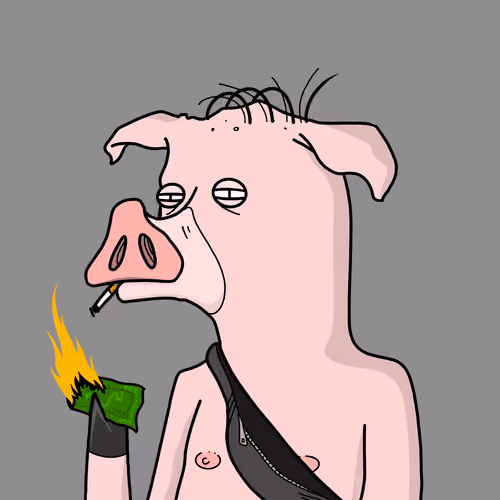 DEGENPIG#541