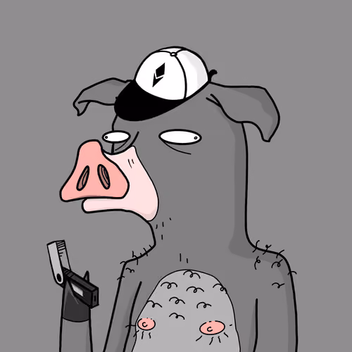 DEGENPIG#48