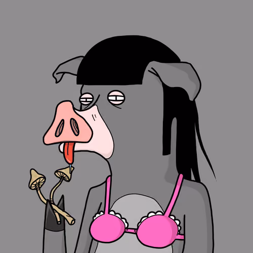DEGENPIG#590