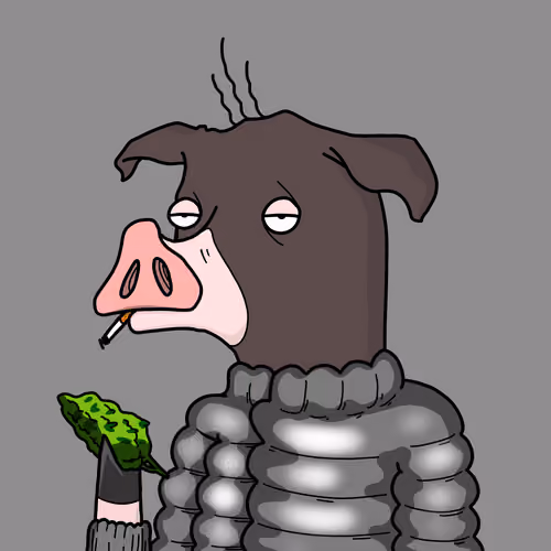 DEGENPIG#357