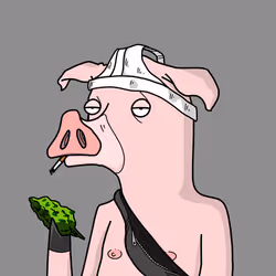 DEGENPIG#624