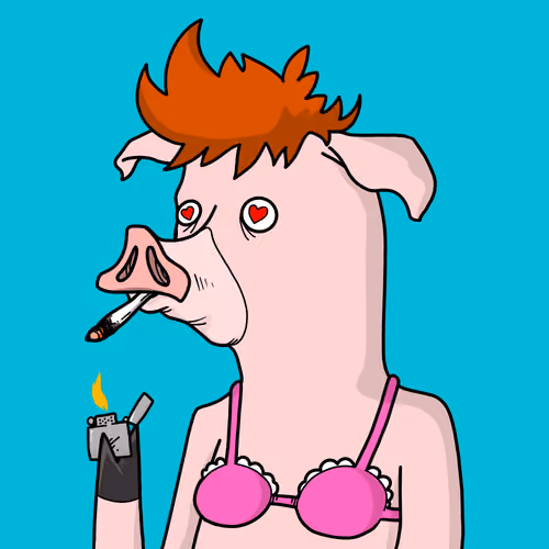 DEGENPIG#84
