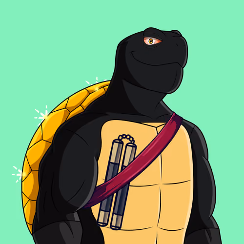 Tacky Tortoise Burrow #7