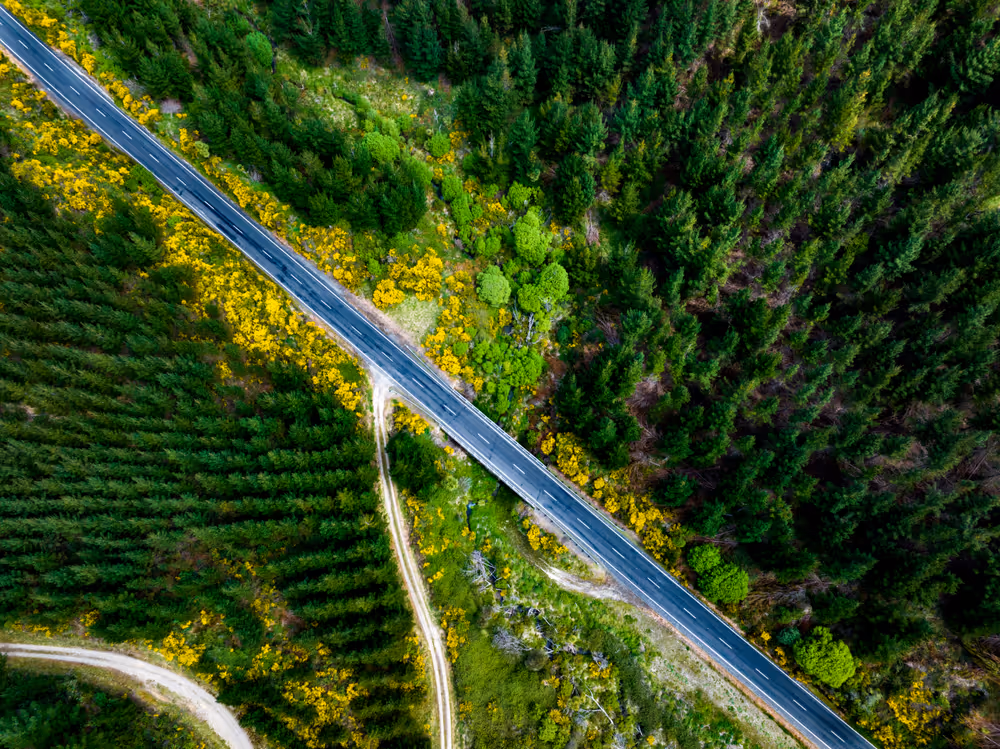 Roads and Rivers #31 #1/2