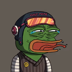 Wild Pepe #811